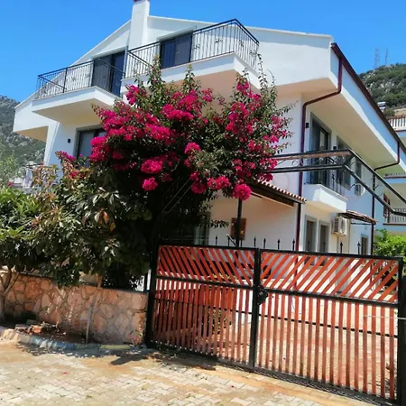 Apartment Olive 2 *